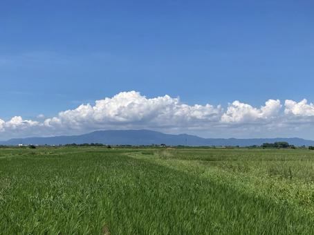 夏の空と雲と田んぼ 夏の空と雲と田んぼの写真