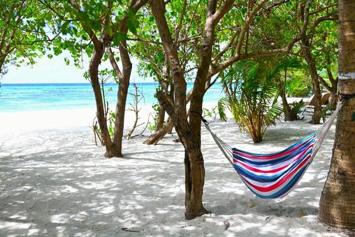ビーチリゾート 青い海とハンモック ビーチリゾート 青い海とハンモック 海,ハンモック,昼寝の写真素材