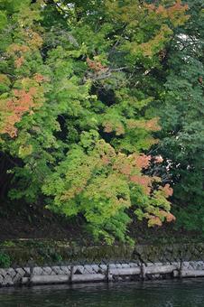 高岡古城公園の初秋の写真