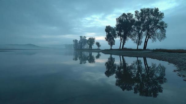 水面に映る木々と空の写真