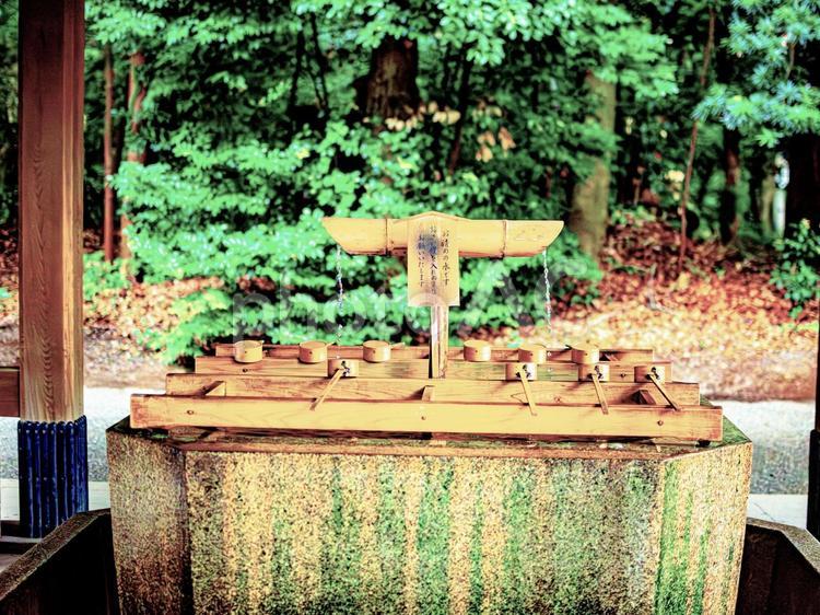 神社の手水舎での清めの儀式 神社,手水舎,文化の写真素材