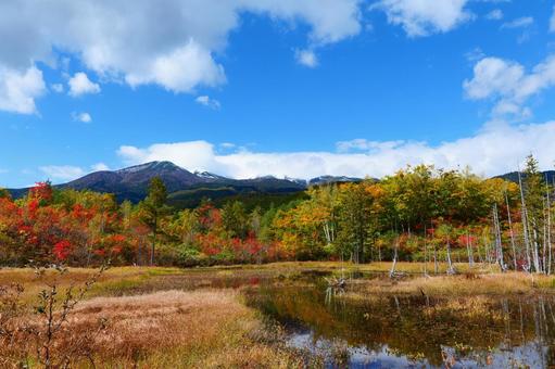 乗鞍高原の紅葉 乗鞍高原の紅葉 秋,オータム,紅葉の写真素材