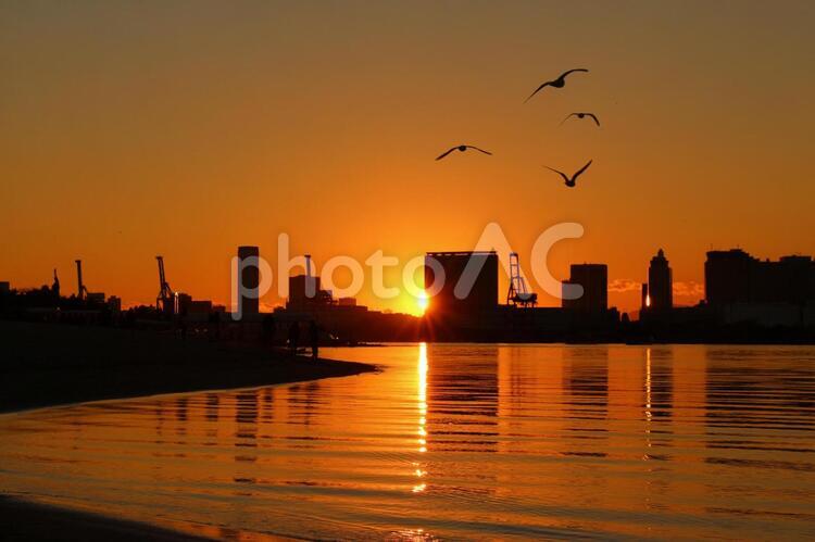 お台場海浜公園の夕焼け お台場海浜公園,東京,お台場の写真素材
