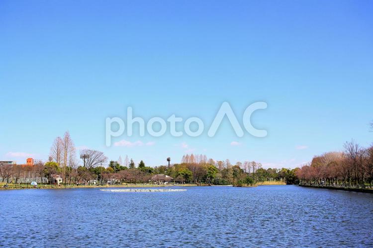 青空と公園の景色 空,大空,青空の写真素材