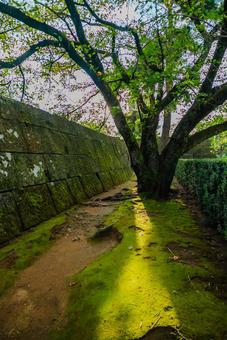 【福井】福井城跡にある福井県庁 【福井】福井城跡にある福井県庁 福井県庁,福井城跡,福井の写真素材