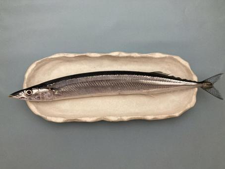 さんま さんま,秋刀魚,豊漁の写真素材