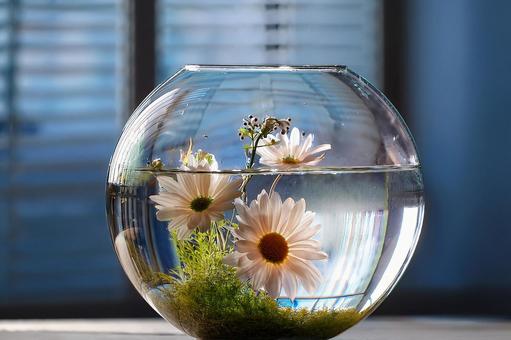 花瓶 (1) 花瓶 (1)の写真