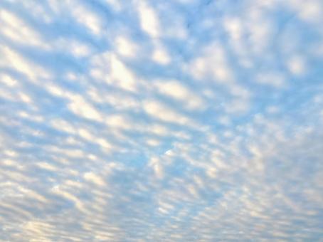 空一面のイワシ雲 空一面のイワシ雲の写真