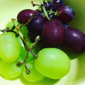 Grape, JPG Grape, JPG