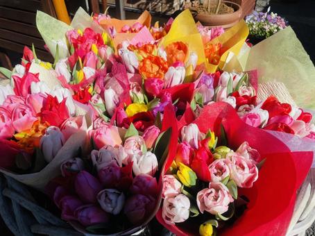 チューリップ花束 ピンク,オレンジ,ブーケの写真素材