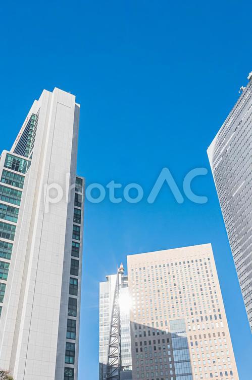 東京　浜離宮恩賜庭園の風景 東京,東京都,浜離宮恩賜庭園の写真素材