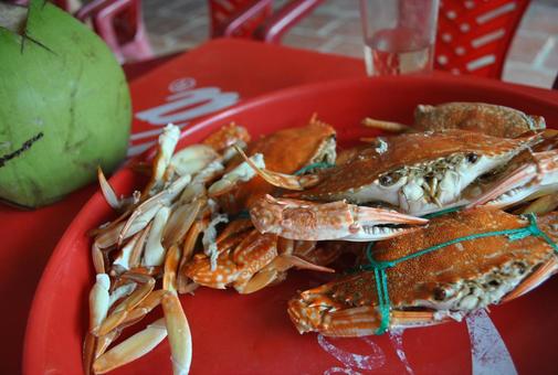 ベトナムの料理 ベトナムの料理 ベトナム,食べ物,料理の写真素材