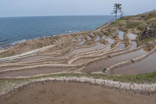 田植え前の白米千枚田と日本海 田植え前の白米千枚田と日本海 千枚田,白米,田植え前の写真素材
