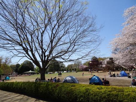 四月のアンデルセン公園-27 四月のアンデルセン公園-27の写真