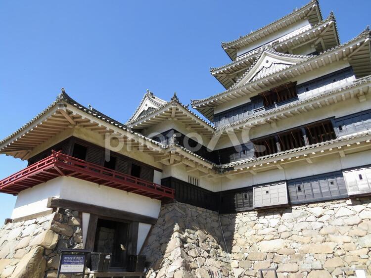 松本城_天守と月見櫓（横） 松本城,国宝,100名城の写真素材
