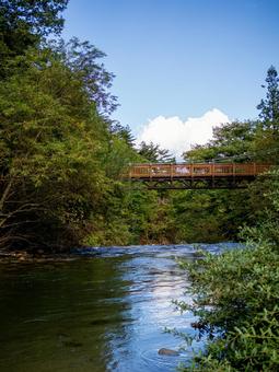 烏川渓谷緑地の吊り橋と清流 清流,吊り橋,ハイキングの写真素材
