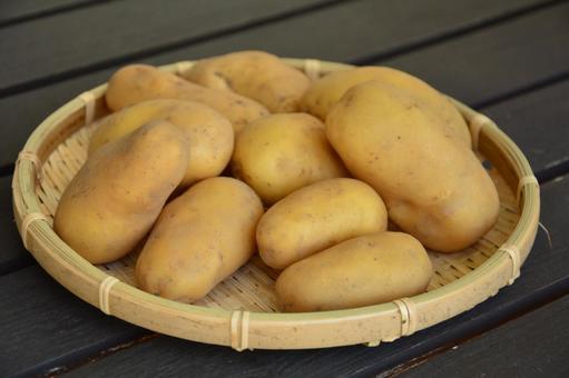 ジャガイモ ジャガイモ ジャガイモ,じゃがいも,ポテトの写真素材