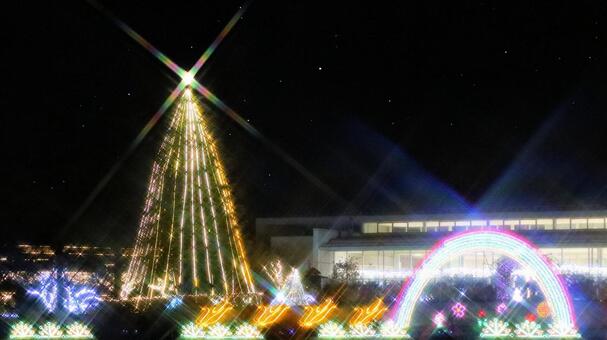 はままつフラワーパーク　イルミネーション イルミネーション,クリスマス,夜景の写真素材