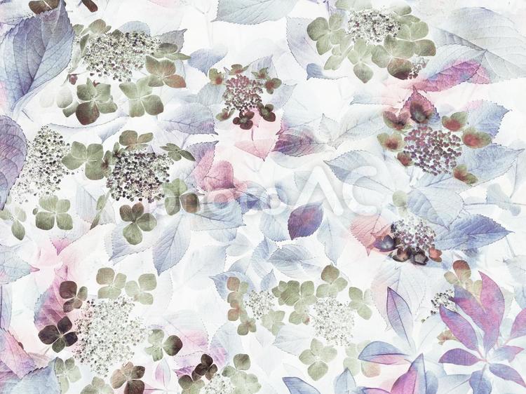 和のテイスト花柄背景 花,オーナメント（アート）,和柄の写真素材