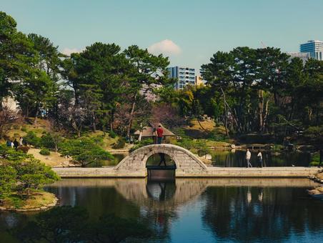 縮景園 縮景園,池,広島市の写真素材