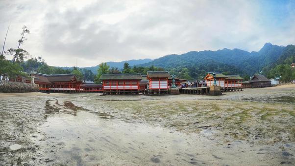 厳島神社 厳島神社 厳島神社,宮島,景色の写真素材