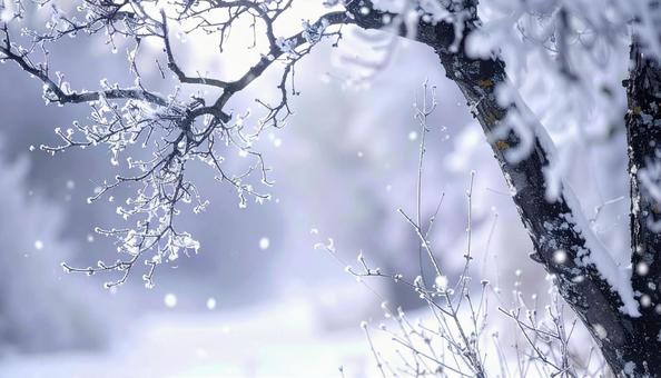 雪のつもる枝がきらめく 冬の風景 雪のつもる枝がきらめく 冬の風景の写真