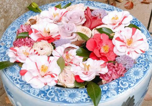 花 花の写真