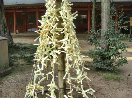 香取神宮の風景-3 香取神宮の風景-3 香取神宮,神社,千葉県香取市の写真素材