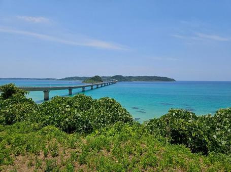 2025_橋 2025_橋の写真