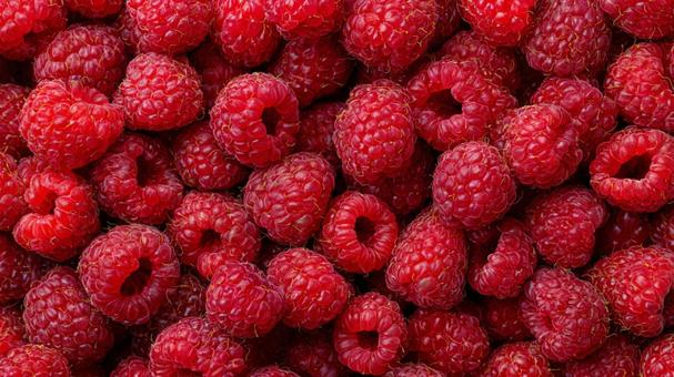 鮮やかな赤色に輝くフレッシュラズベリーの写真