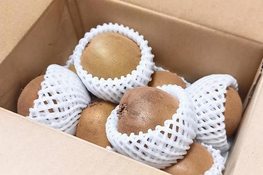 【キウイ】キウイフルーツ｜ふるさと納税 キウイフルーツ,さぬきゴールド,果物の写真素材