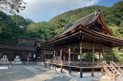京都府-出雲大神宮-拝殿と御蔭山 京都府-出雲大神宮-拝殿と御蔭山 出雲大神宮,神社,丹波国の写真素材