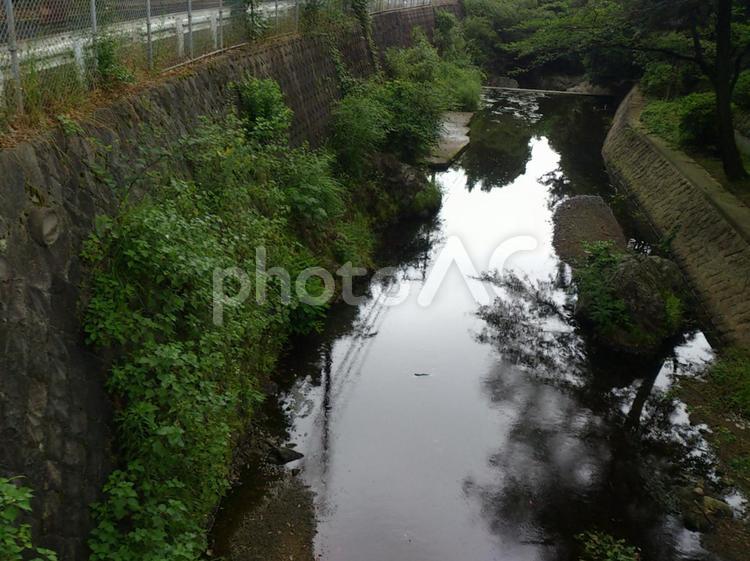 六月の散歩風景/2 橋,溝,用水路の写真素材
