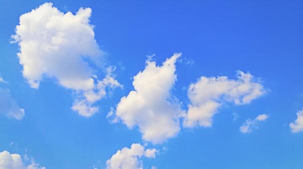 青空 青空の写真