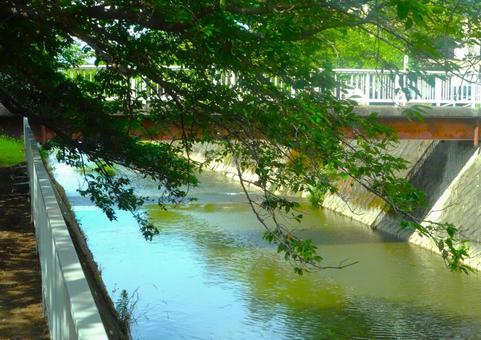 Photo, সমভূমি, সেতু, পানি, 