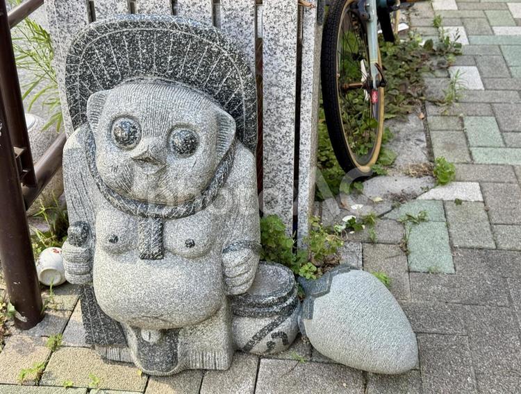 上目遣いのたぬきの石像 石像,街角,南千住の写真素材