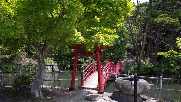 庭園 庭園の写真
