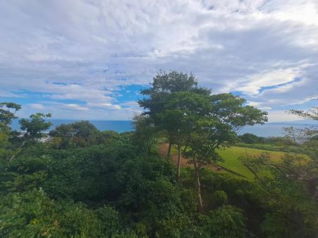 湘南平の公園と海の写真