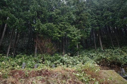 都井睦雄のお墓の周辺 都井睦雄のお墓の周辺の写真