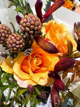 秋のブーケ 秋のブーケ バラ,花,ブーケの写真素材