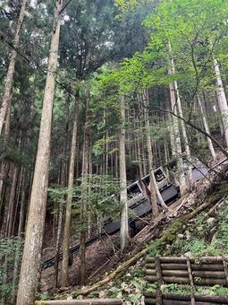 奈良県天川村の風景の写真