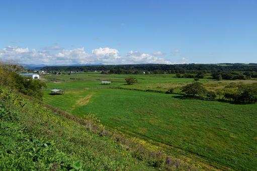 北海道新冠町サラブレッド銀座の広大な風景 北海道新冠町サラブレッド銀座の広大な風景 サラブレッド銀座,北海道,牧場の写真素材