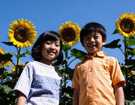 ひまわりと青空と子供たち ひまわりと青空と子供たちの写真