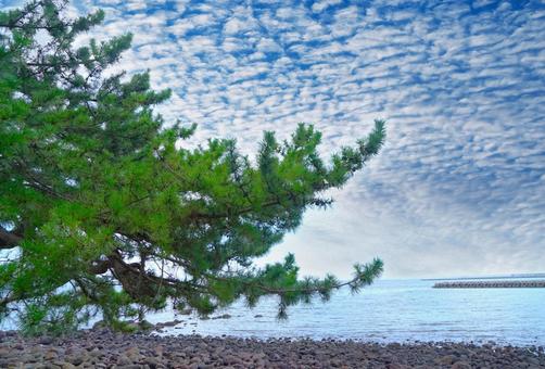 Photo, sea, loose, scales of clouds, 