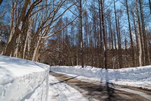 Photo, akiyama village, nagano prefecture, okimura, 