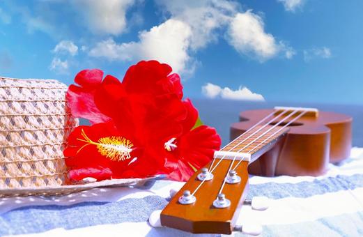 海辺のウクレレ①の写真