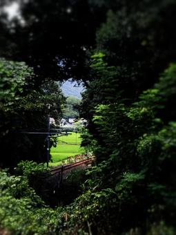 真夏の加古川線、旅情あふれる黒田庄駅辺り 鉄道,線路,ローカル線の写真素材