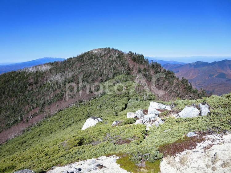 中央アルプスの茶臼山 山,登山,中央アルプスの写真素材