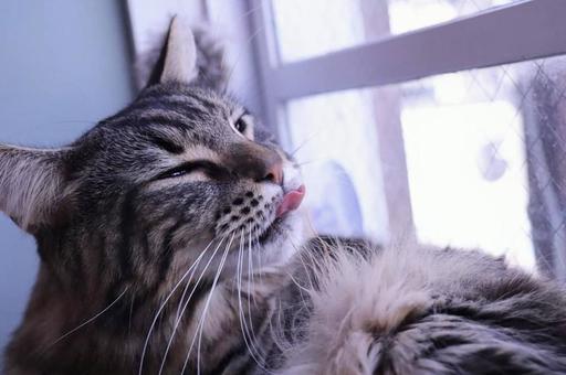 おはよう おはようの写真