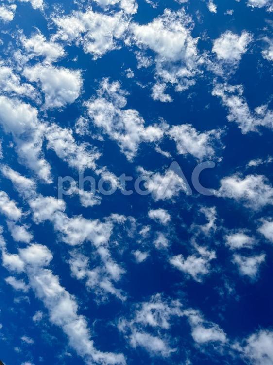 青空(待ち受け画面) 背景,テクスチャ,背景画像の写真素材